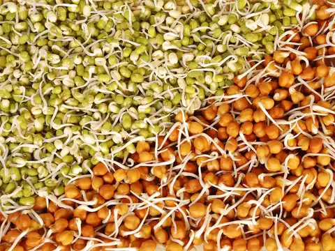 Sprouted Moong Dal Chaat