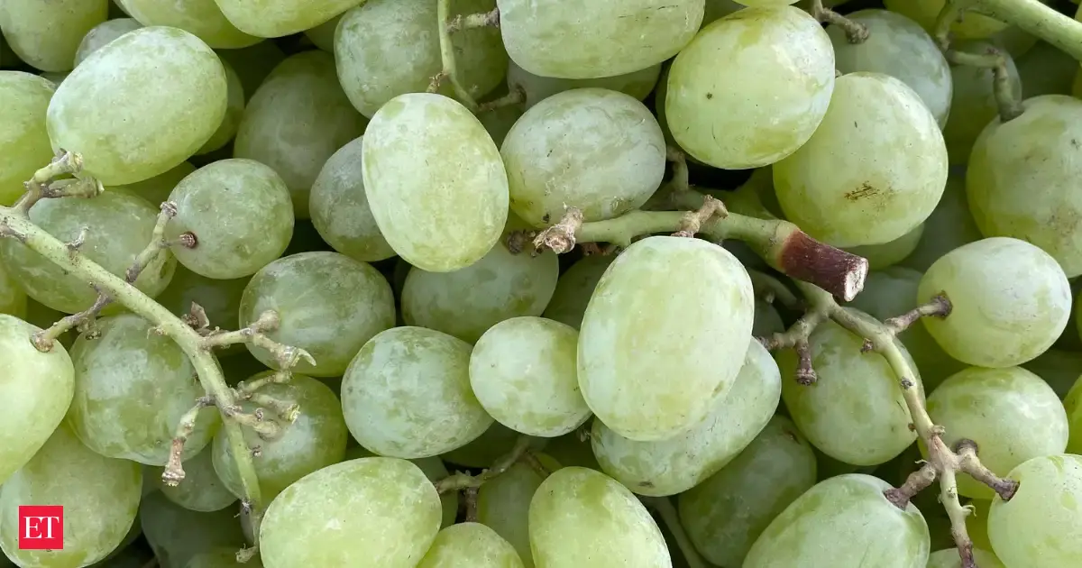 How to remove pesticides from your grapes naturally: Easy scientific steps to clean them the right way