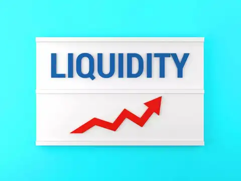 Liquidity concerns and portfolio role