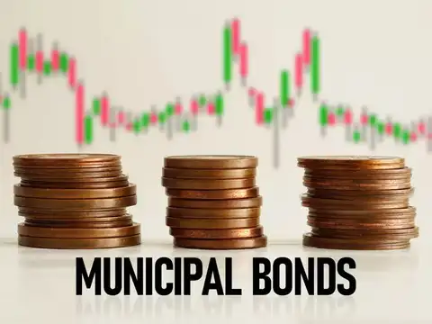 What are municipal bonds?