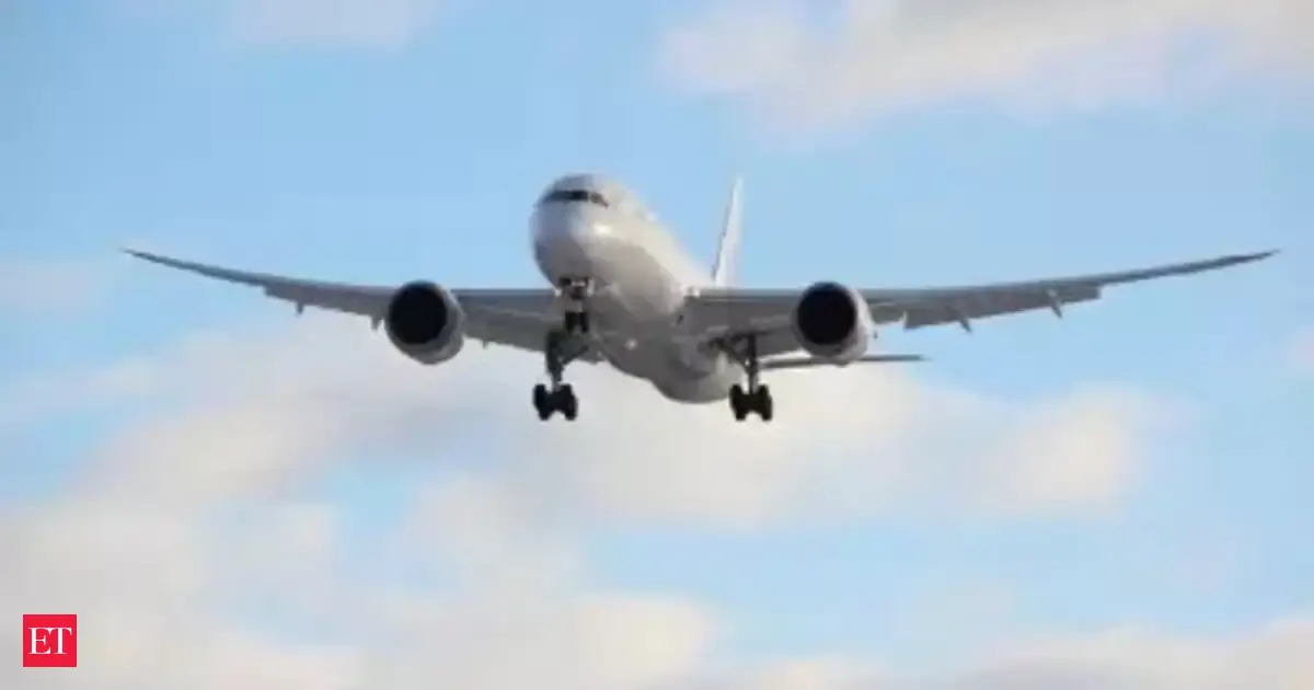 Bird-hit incidents reported at airports rose to 1,782 in 2025: Govt