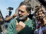 Congress says it will face motion against Rahul Gandhi, vows to keep raising issues in Parliament