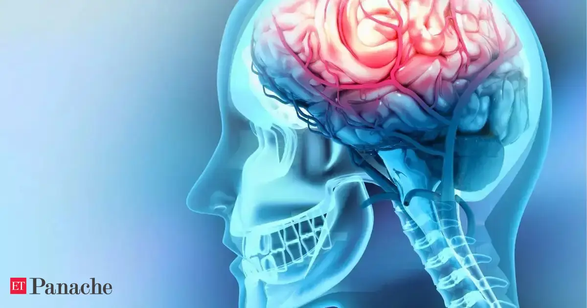 Major brain disease risk can be avoided: Long-term research reveals the one type of training that actually works