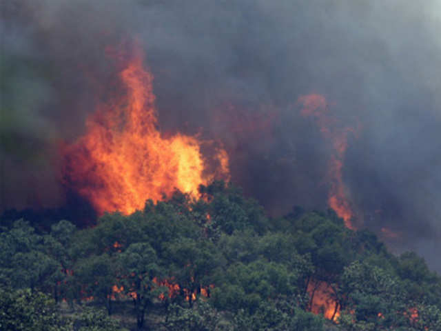 Fire rages at 'La Primavera' forest in Mexico