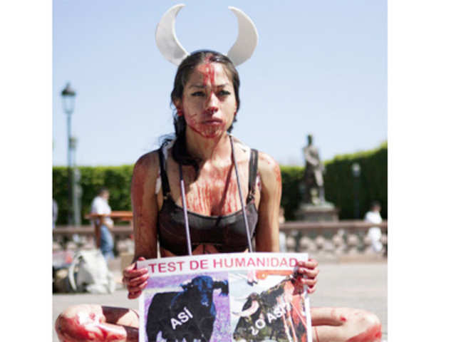 Protest against bullfights