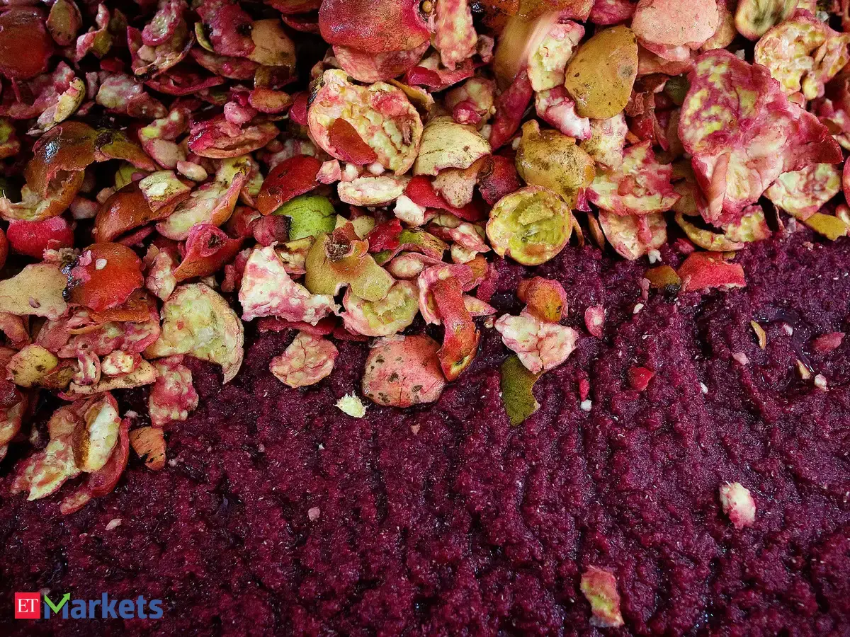 Reliance Infrastructure, SpiceJet among 10 smallcap stocks that slipped up to 23% this week