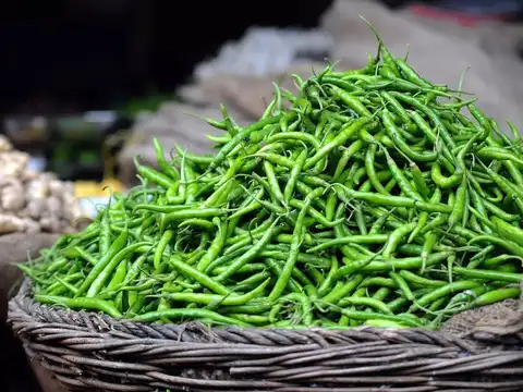 Green Chilies&mdash;The Spicy Defense