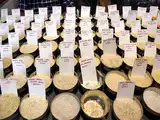 Indian rice exporter seals 5,000-tonne US deal: IREF