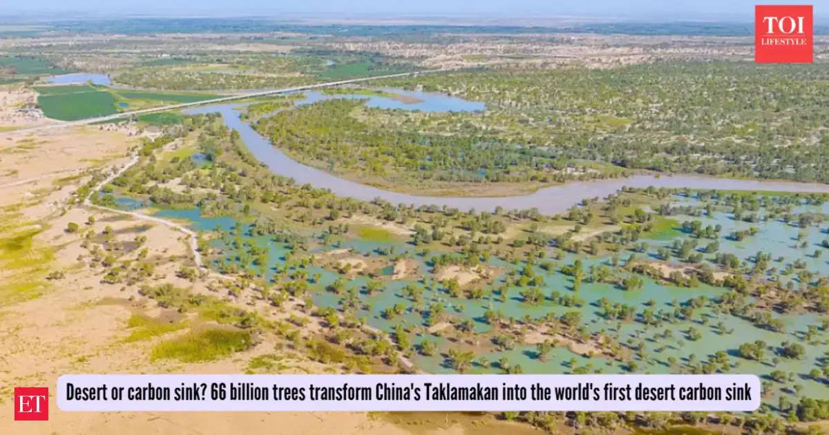 China planted millions of trees around the Taklamakan Desert, and turned it into a carbon sink