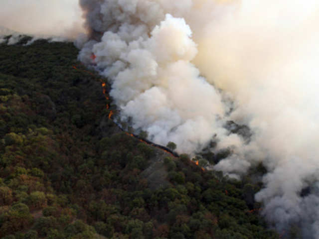 Wild fire in Mexico