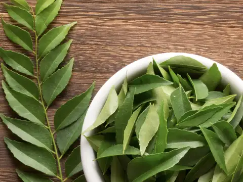  Curry leaves for nutrients