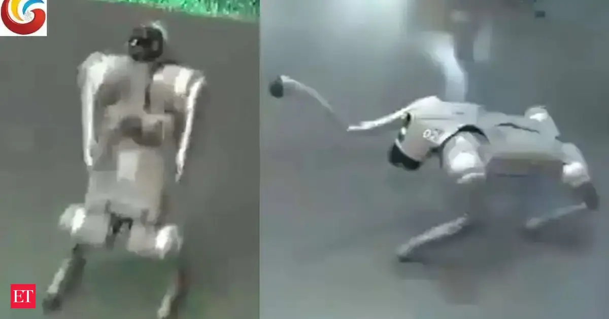 'Disorganised PR spectacle': Rahul Gandhi over Galgotias University's Chinese robotic dog controversy at AI impact summit