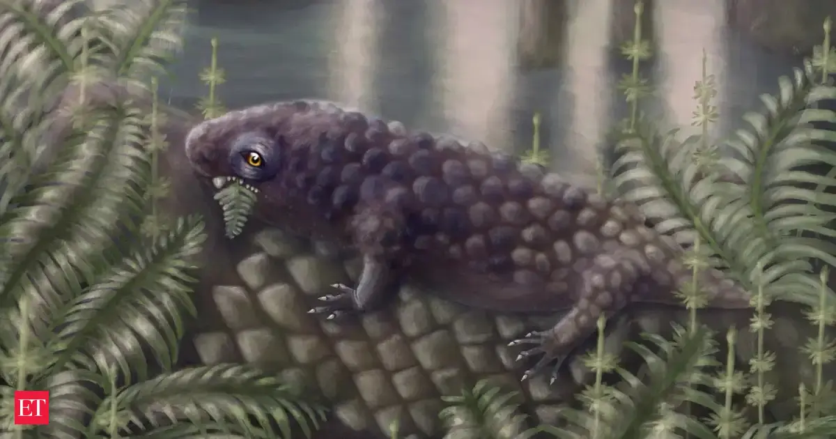 315-million-year-old fossil discovery in Canada suggests Tetrapod may be earliest plant-eater