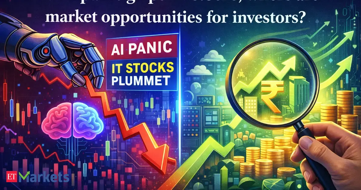 As AI panic grips IT stocks, where are market opportunities for big and small investors?