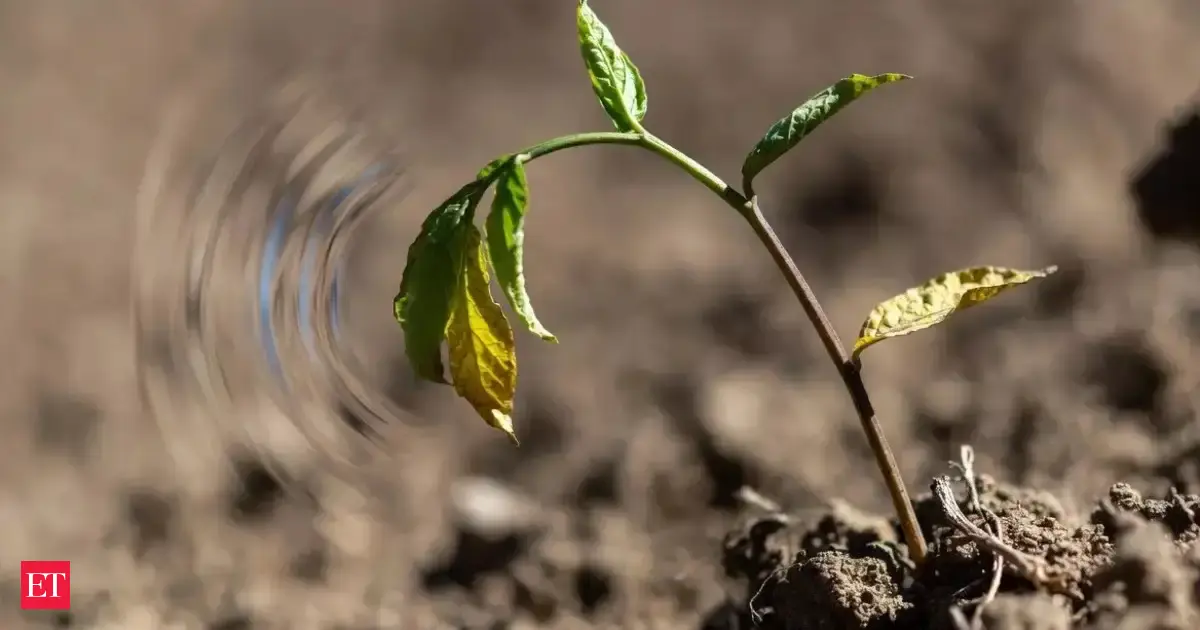 Plants Actually 'Scream' When They Are Thirsty, We Just Can’t Hear Them