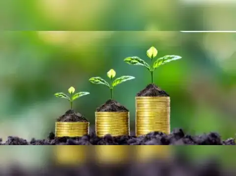 Two from Capitalmind Mutual Fund