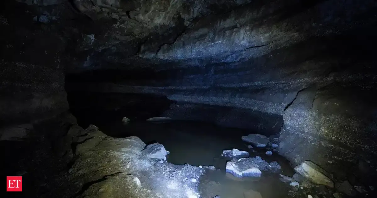 Scientists Found an Ecosystem That Runs on Hydrogen Instead of Sunlight