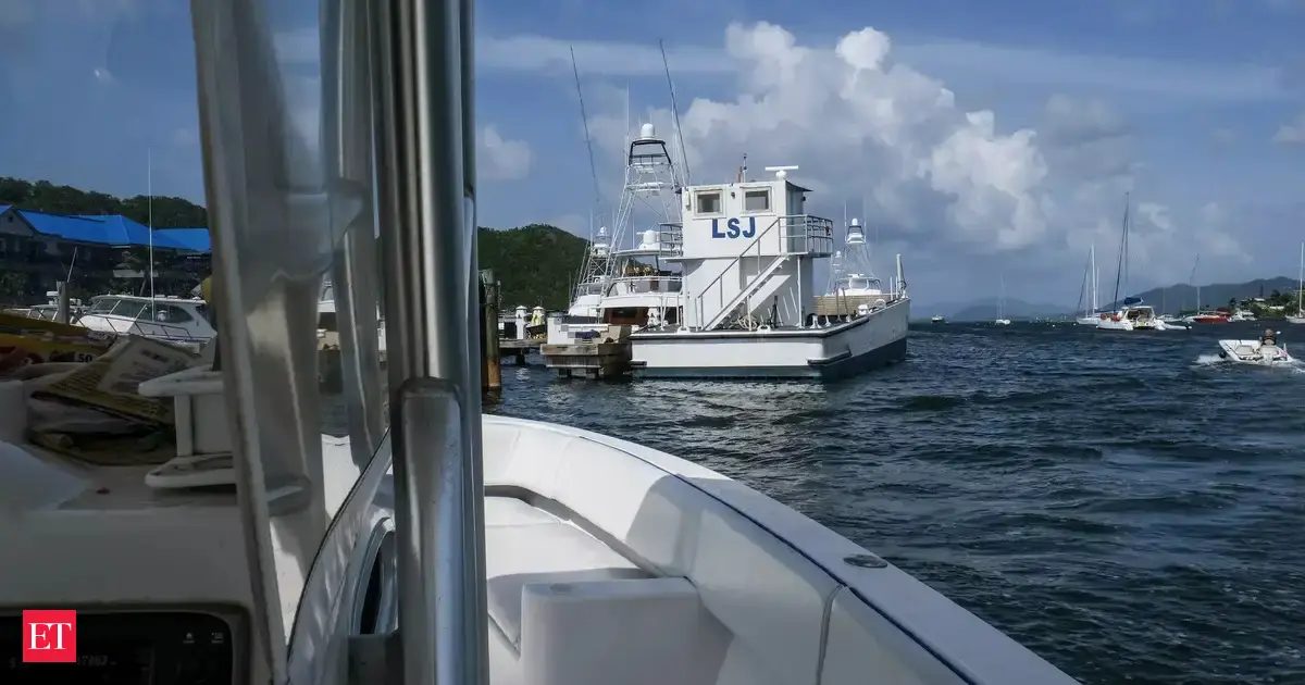 Epstein built ties to US Customs officers, prompting criminal investigation