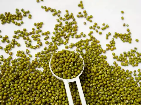 Moong Dal Sprouts &mdash; The Living Nutrient Bomb