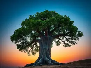 Forests Are Warning Us About Drought, and the Signal Is Hidden in Their ...