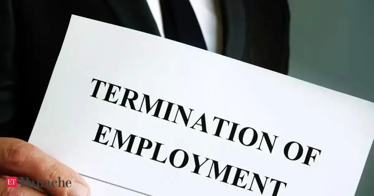 Startup Fires Junior Engineer Over AI