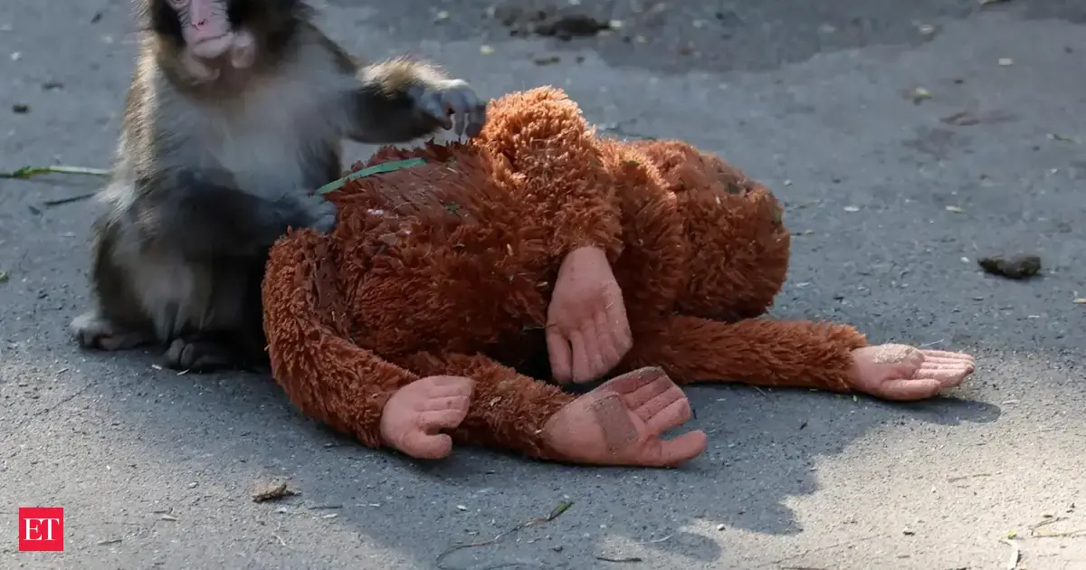 Punch The Monkey update: IKEA&rsquo;s $20 orangutan toy sells out at all US, Japan stores after heartbreaking viral moment, now selling at 10x original cost