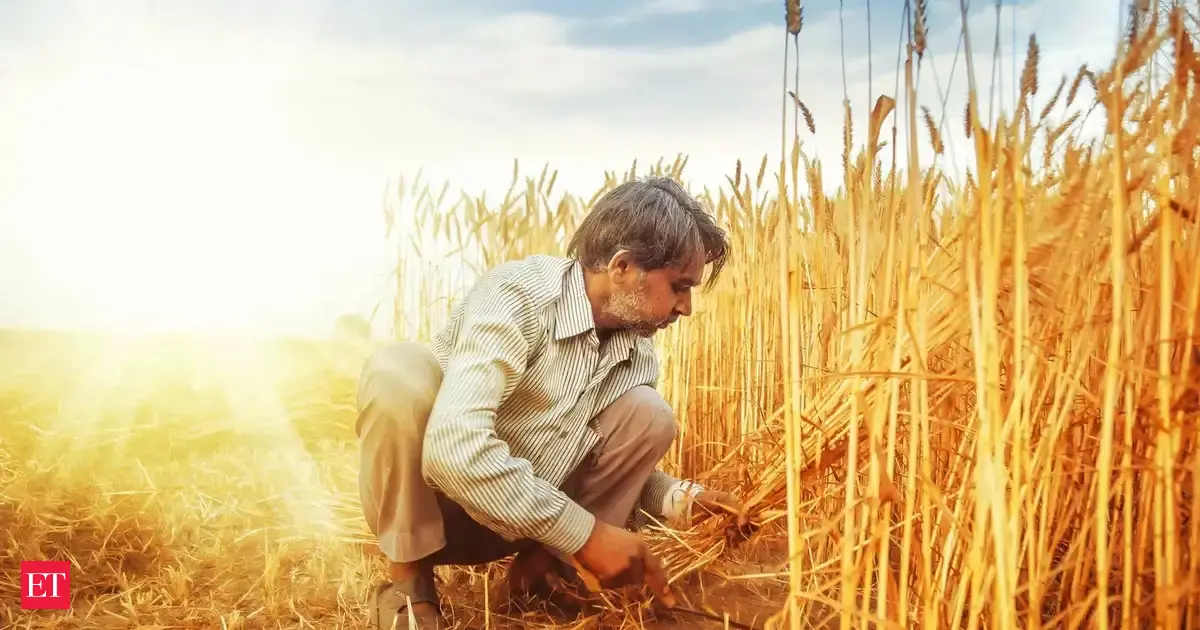 India braces for unusually hot March that can put key crops at risk, sources say