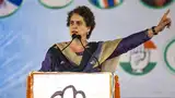 Priyanka Gandhi calls for 'moral accountability' over names in 'Epstein files'