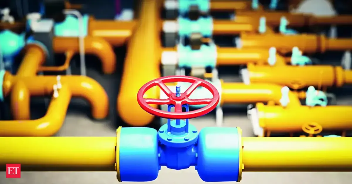 City gas expansion loses steam in Apr-Dec as customer additions, infra growth falter