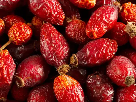Rose Hips &mdash; The Ancient Skin Elixir