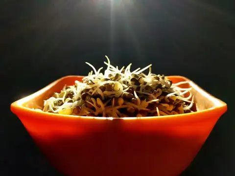 Sprouted Moong and Peanut Salad