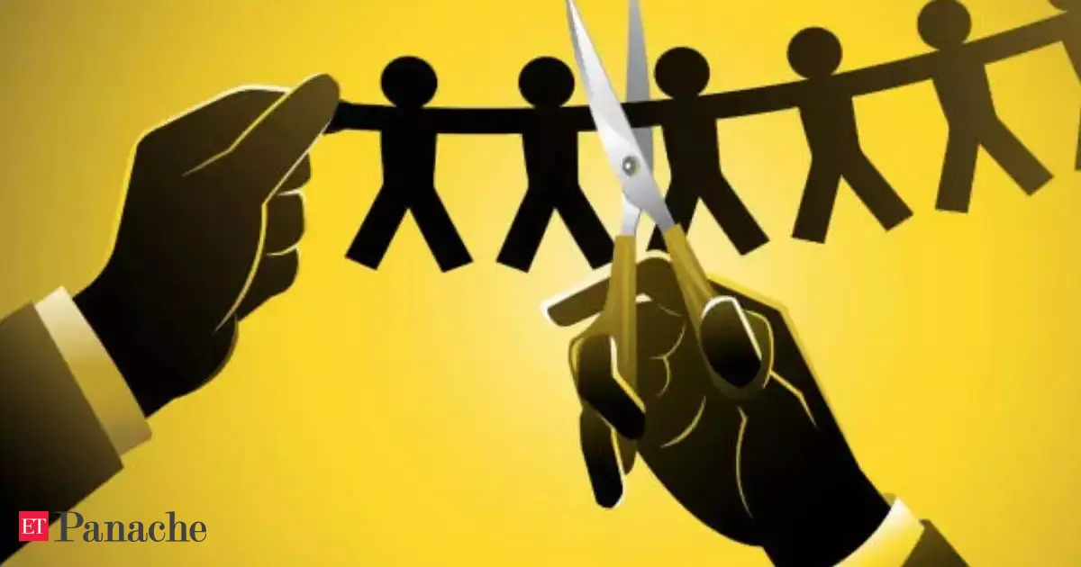 Startup Cuts Employee Despite ₹24 Lakh Salary