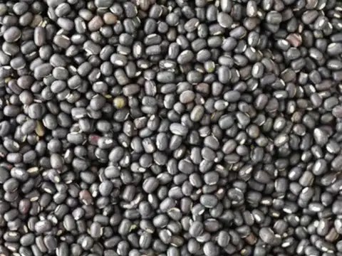 Black Urad Dal (The Muscle Builder)
