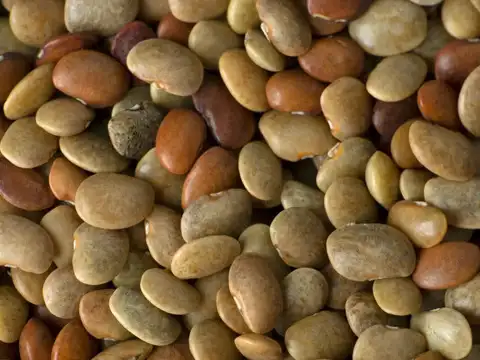 Horse Gram (Kulthi Dal)&mdash;The Ancient Powerhouse