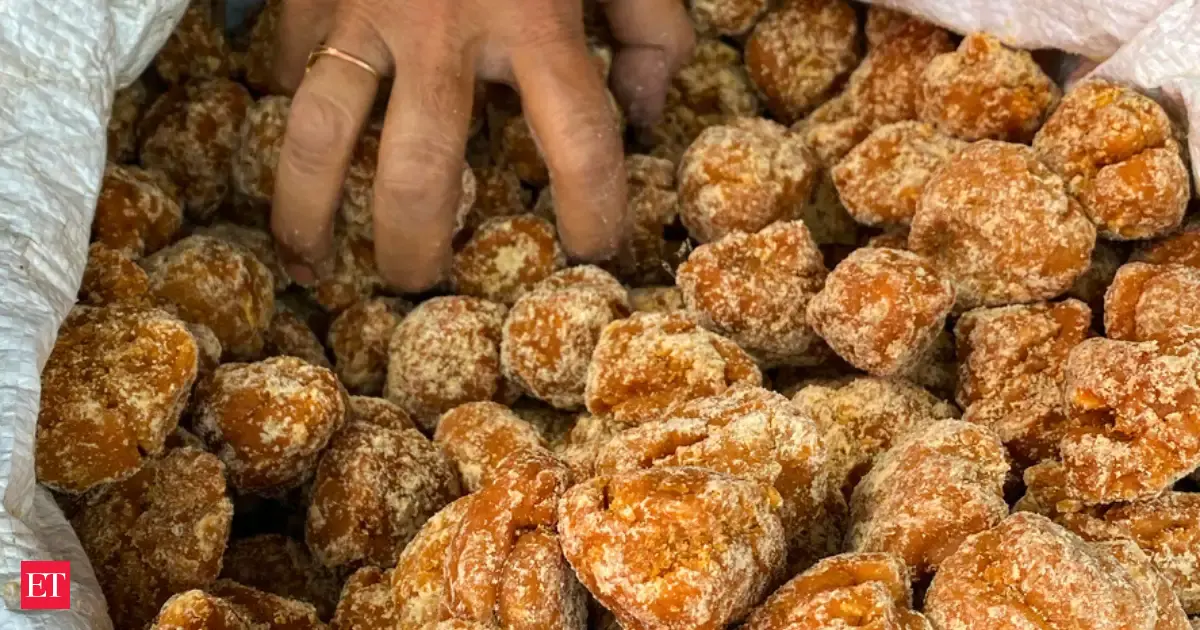 Jaggery test: FSSAI shares simple home method to find out if it is pure or adulterated. Check this DIY purity trick for your health