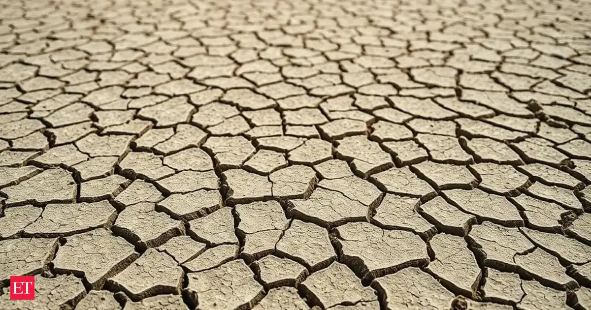 Nature's 'Designed' Desert Patterns: Are They Really Just Random Cracks ...