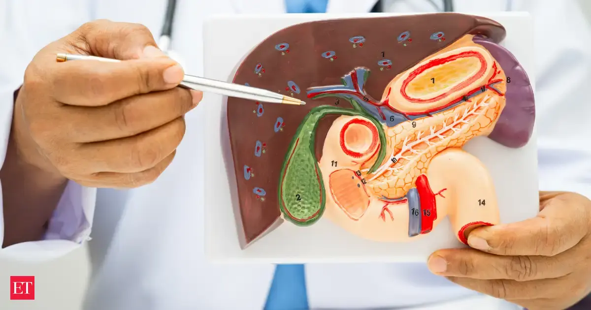 MIT scientists create &lsquo;Mini Livers&rsquo; that can be injected into the body &mdash; a potential medical game-changer