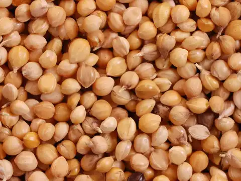 Swap Rice Idli for Proso Millet or Moong Dal Idli