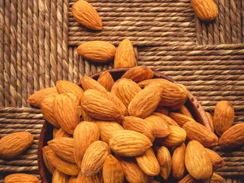Almonds (Badam) &mdash; The Vitamin E Shield
