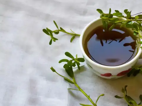Brahmi (Water Hyssop) &mdash; The Ancient Memory Herb