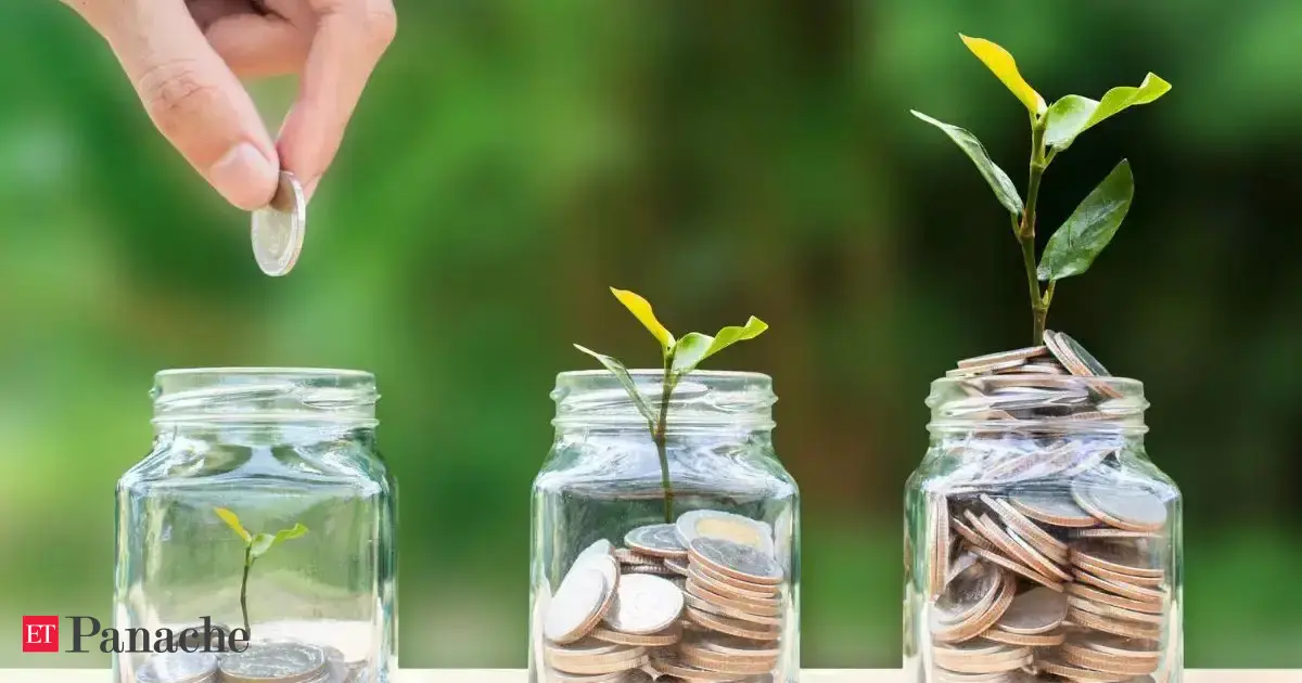 From Rs 12 crore to Rs 34 crore in 6 years: CA shares wealth-building formula that helped a Delhi businessman grow his net worth