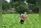 Image for India ramps up fertiliser imports; ensures adequate stocks f