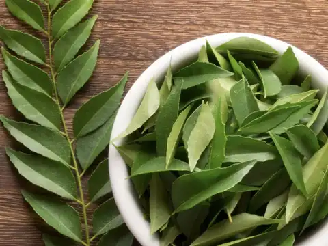Curry Leaves (Kadi Patta) &mdash; The Fragrant Healer