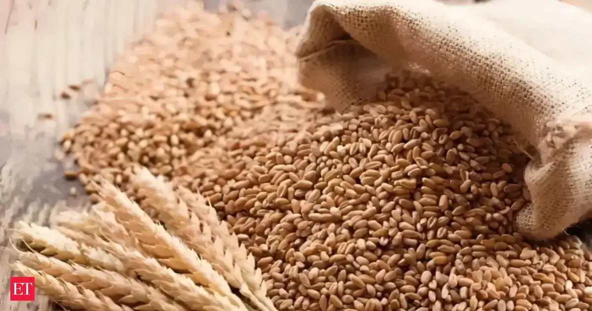 Government sets 30.3 million tonne wheat procurement target