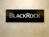  Why BlackRock stock tanked 7% after curbing withdrawals from flagship fund