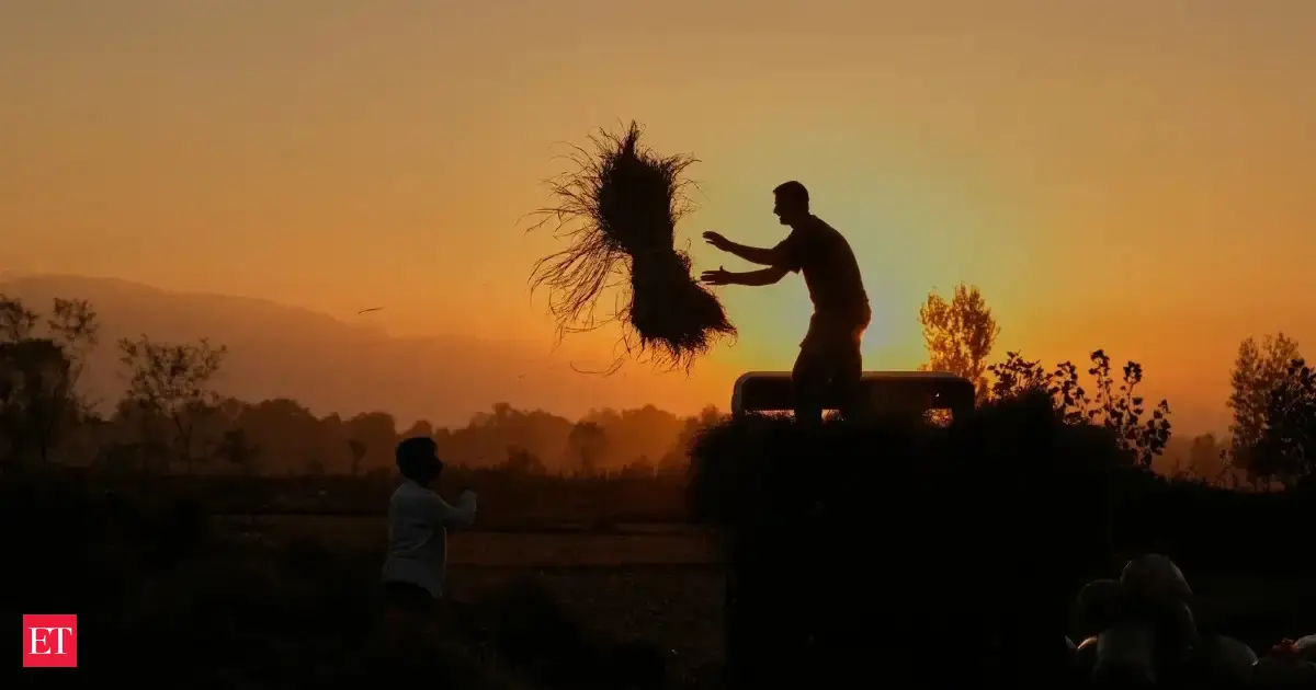 West Asia conflict threatens India’s $11.8 billion agri exports: GTRI