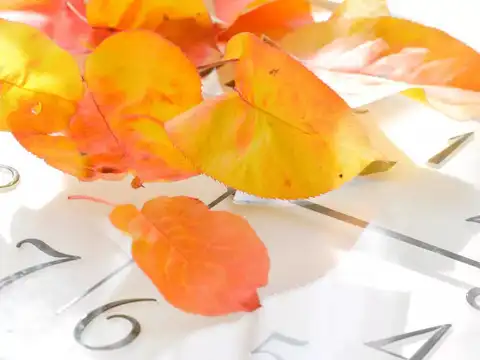 Where daylight saving time applies