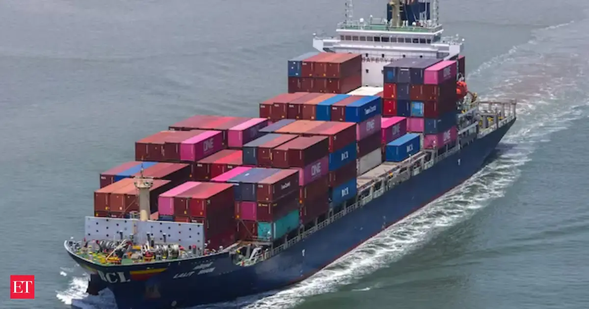 Exclusive| DG Shipping advisory to shipping lines: No predatory, opportunistic or non-transparent pricing