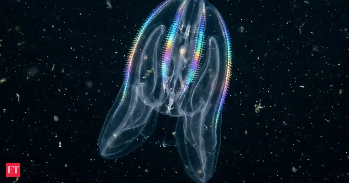 Researchers Studying THIS Organism Discovered Something Biology Said Shouldn’t Happen