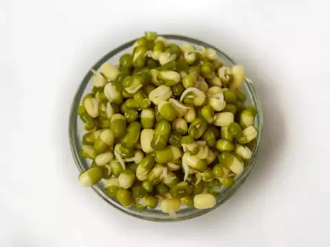 Sprouted Moong Salad 